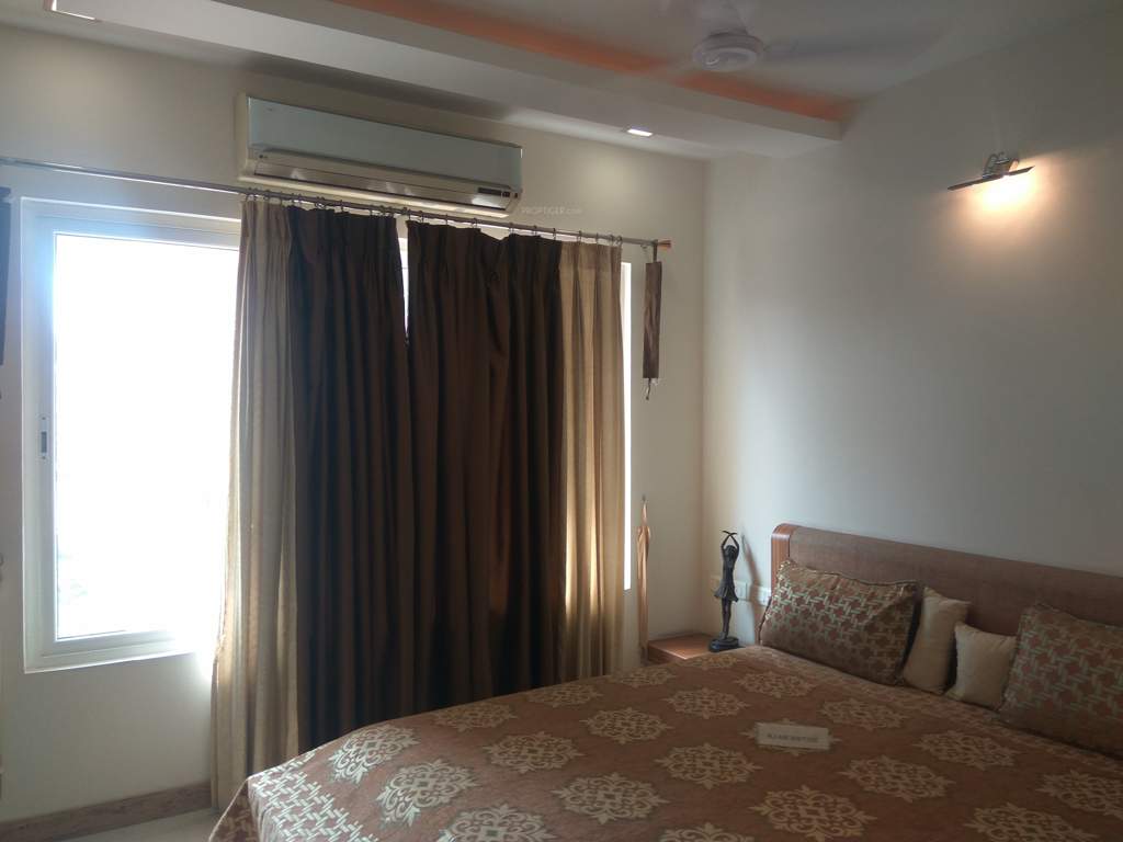  timber leaf Images for Main Other of Suchirindia Timber Leaf