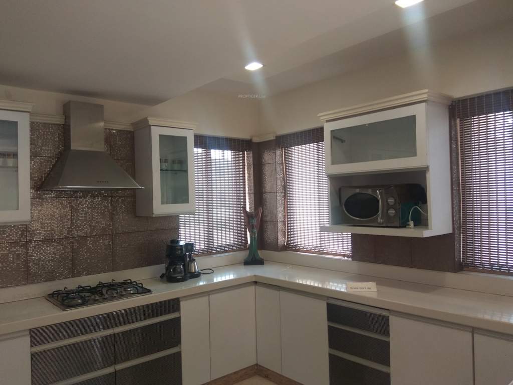  timber leaf Images for Main Other of Suchirindia Timber Leaf