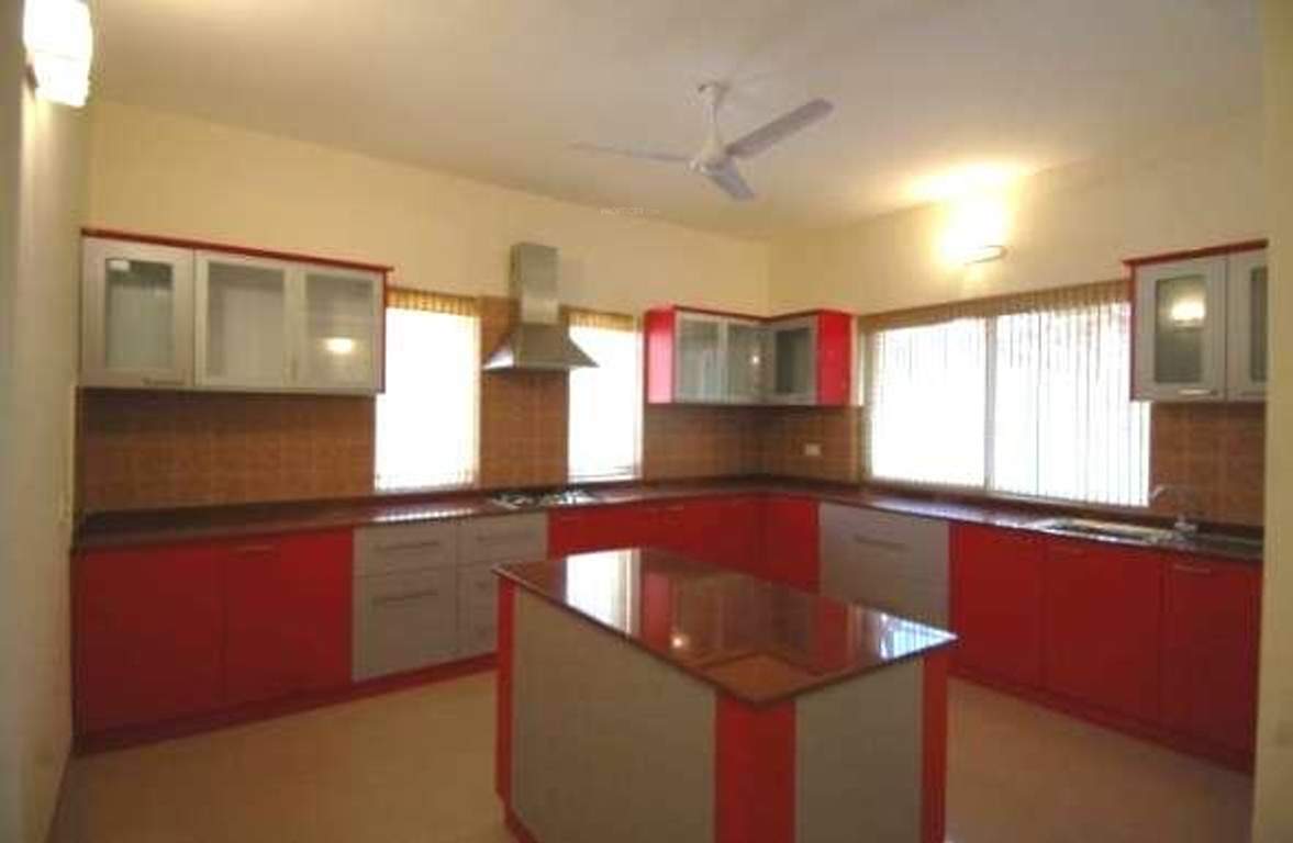  timber leaf Images for Main Other of Suchirindia Timber Leaf