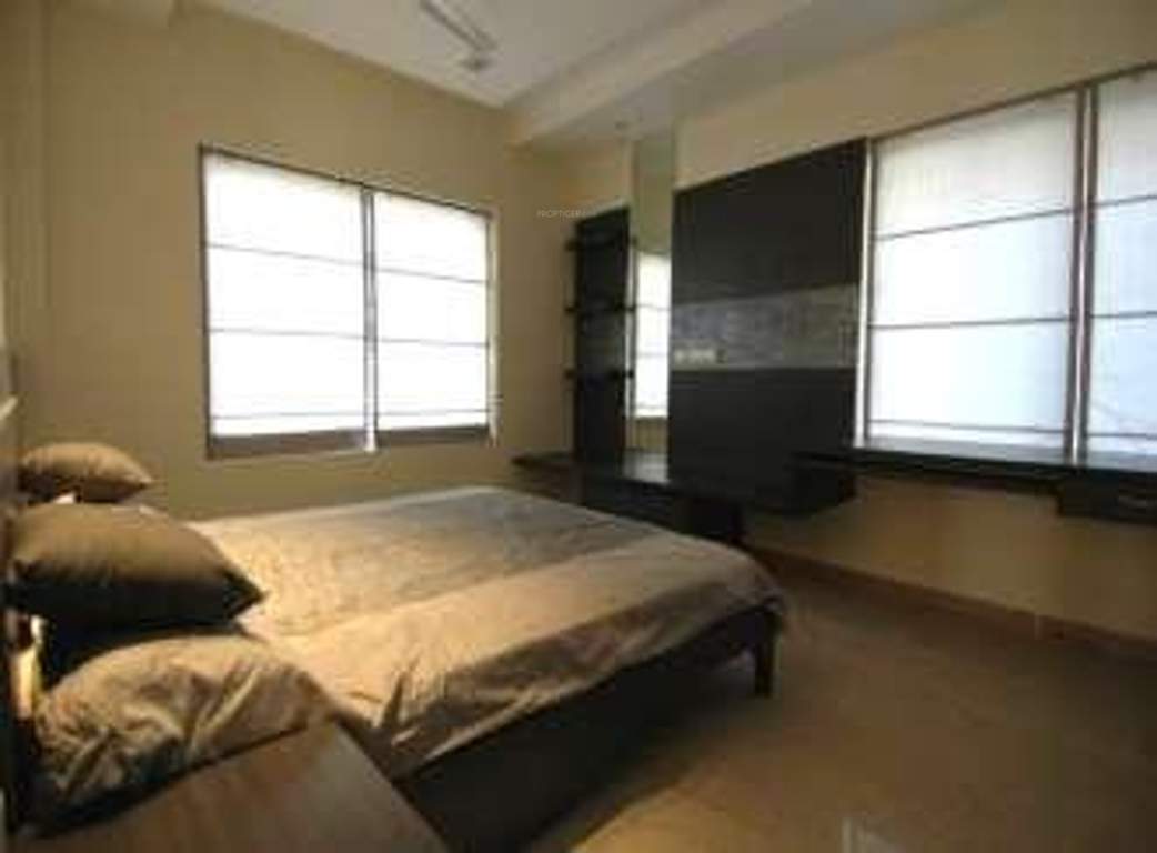  timber leaf Images for Main Other of Suchirindia Timber Leaf