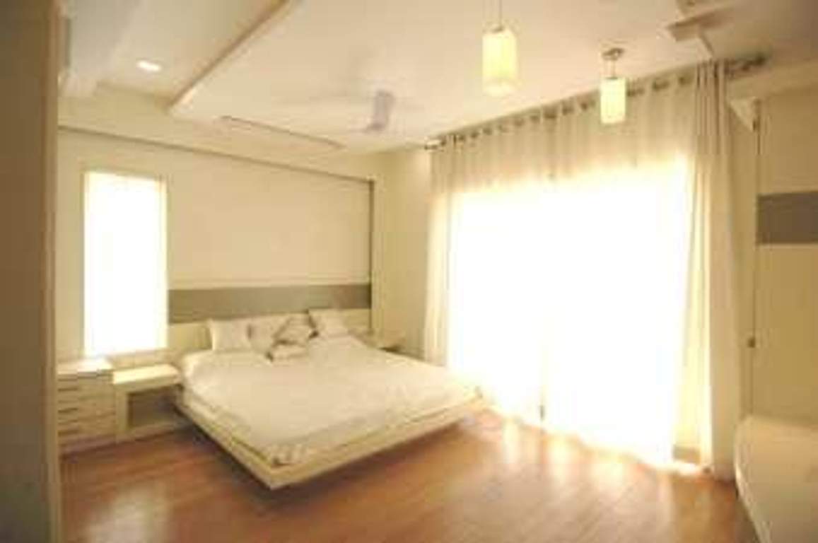  timber leaf Images for Main Other of Suchirindia Timber Leaf