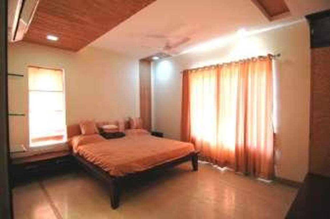  timber leaf Images for Main Other of Suchirindia Timber Leaf