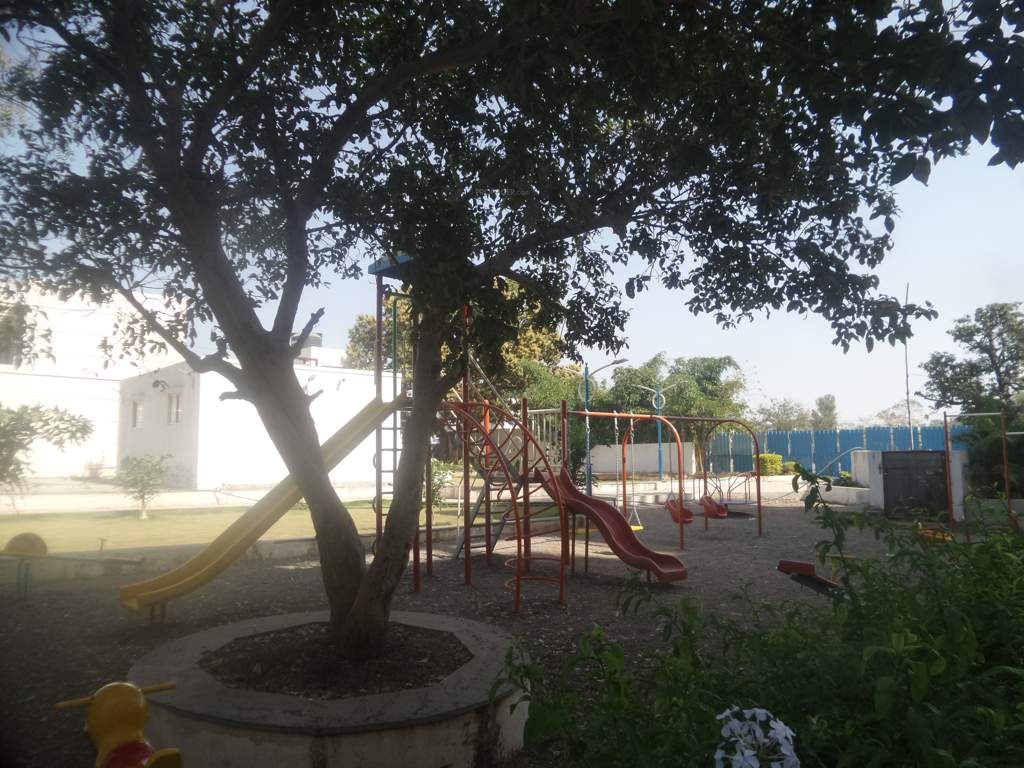  hollyhock city Children's play area