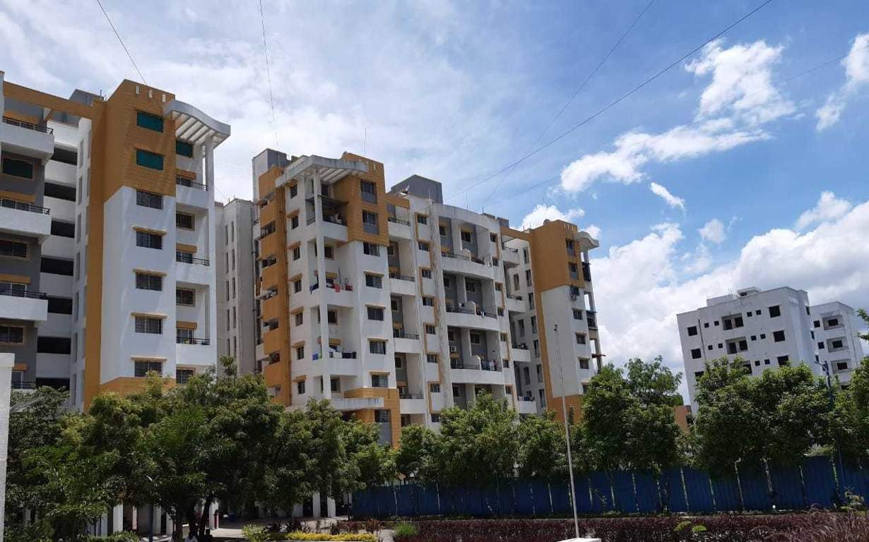  hollyhock city Others