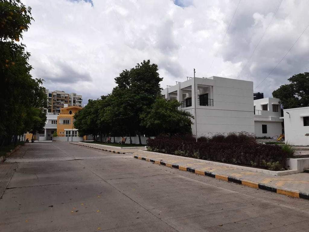  hollyhock city Others