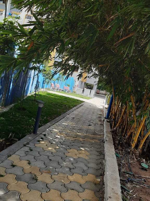  hollyhock city Others