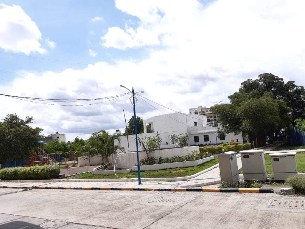  hollyhock city Others