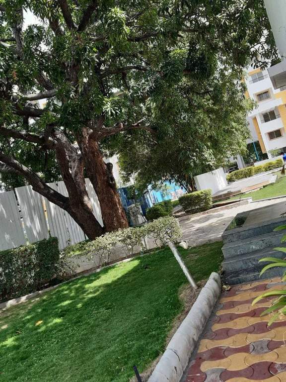  hollyhock city Others