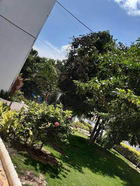  hollyhock city Others