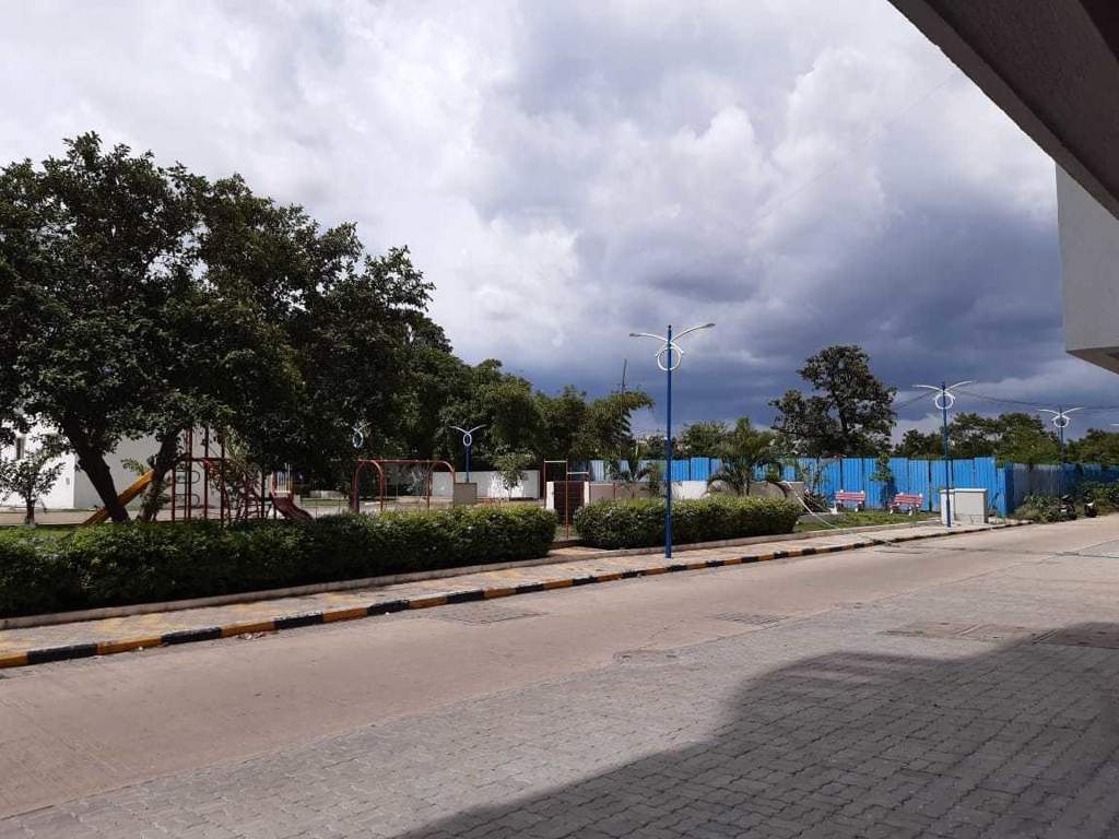  hollyhock city Others