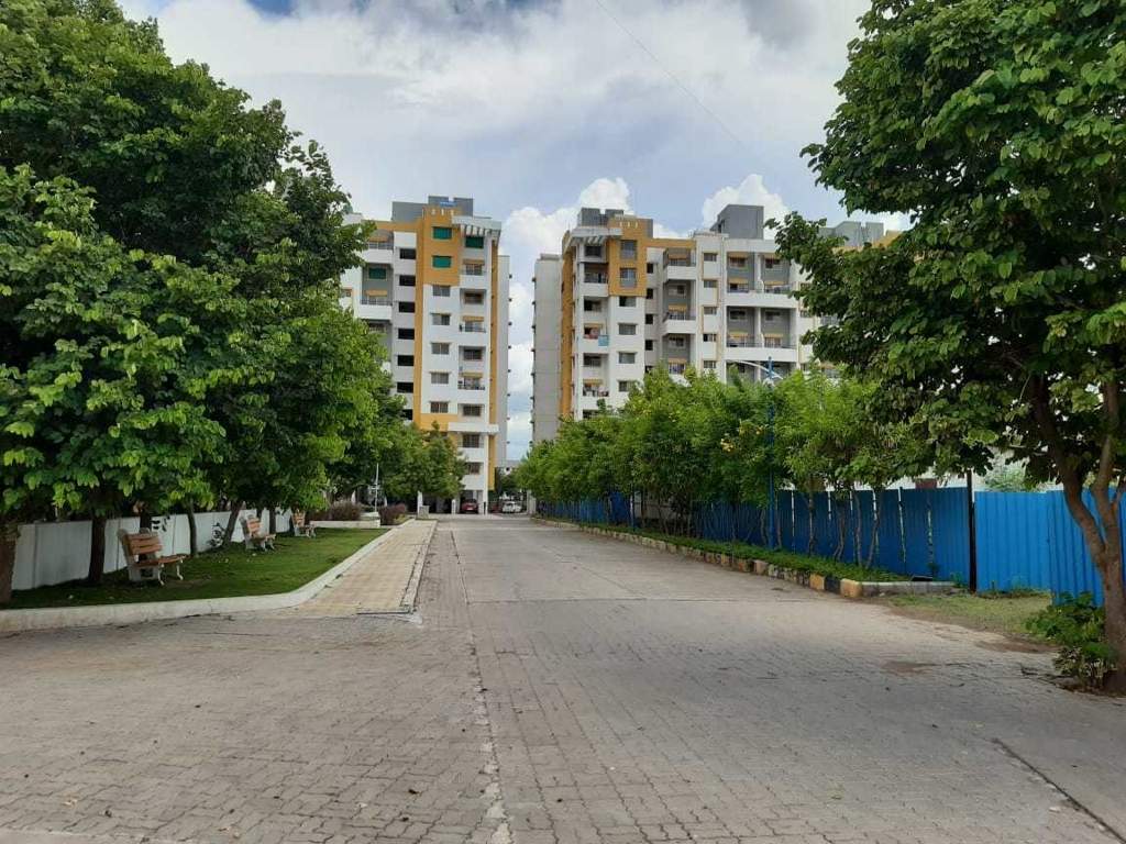  hollyhock city Others