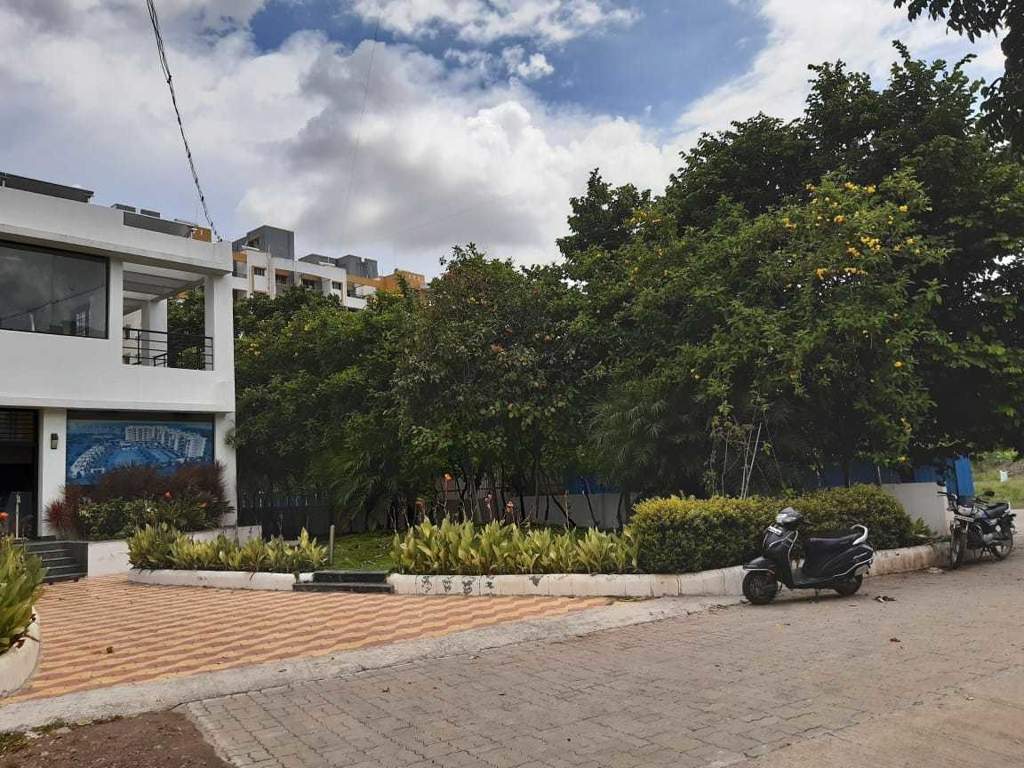  hollyhock city Others