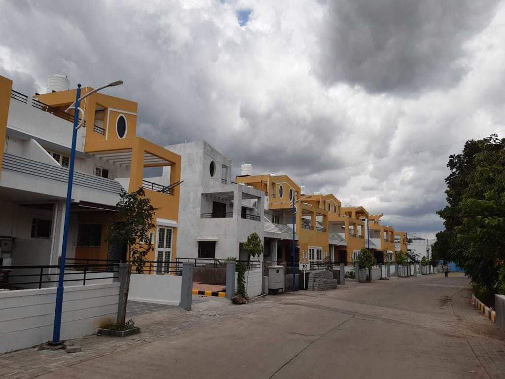  hollyhock city Others