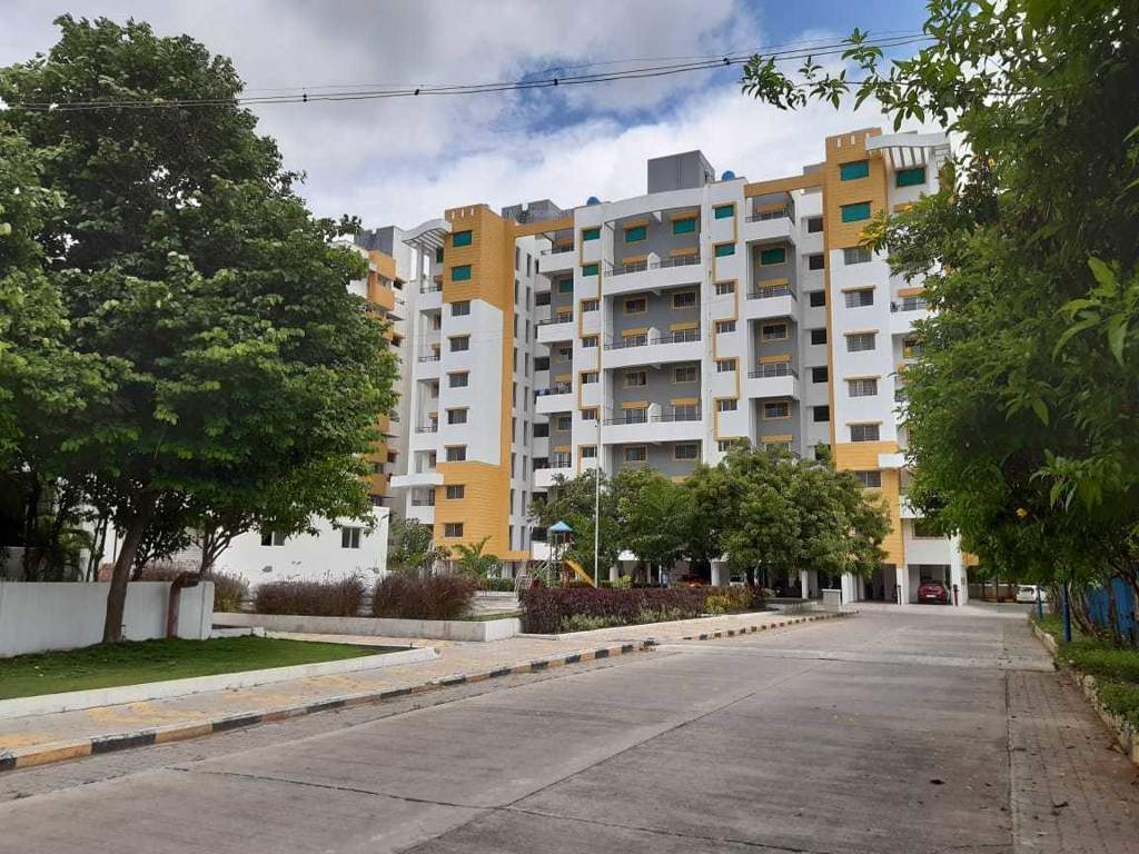  hollyhock city Others