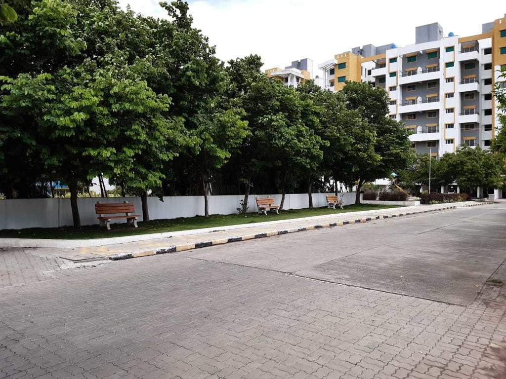  hollyhock city Others