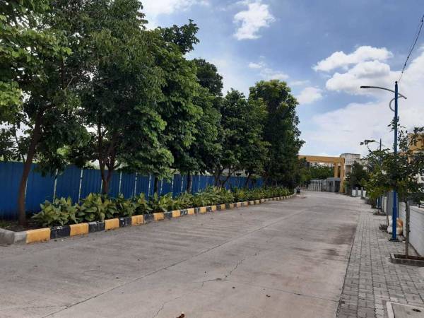  hollyhock-city Others