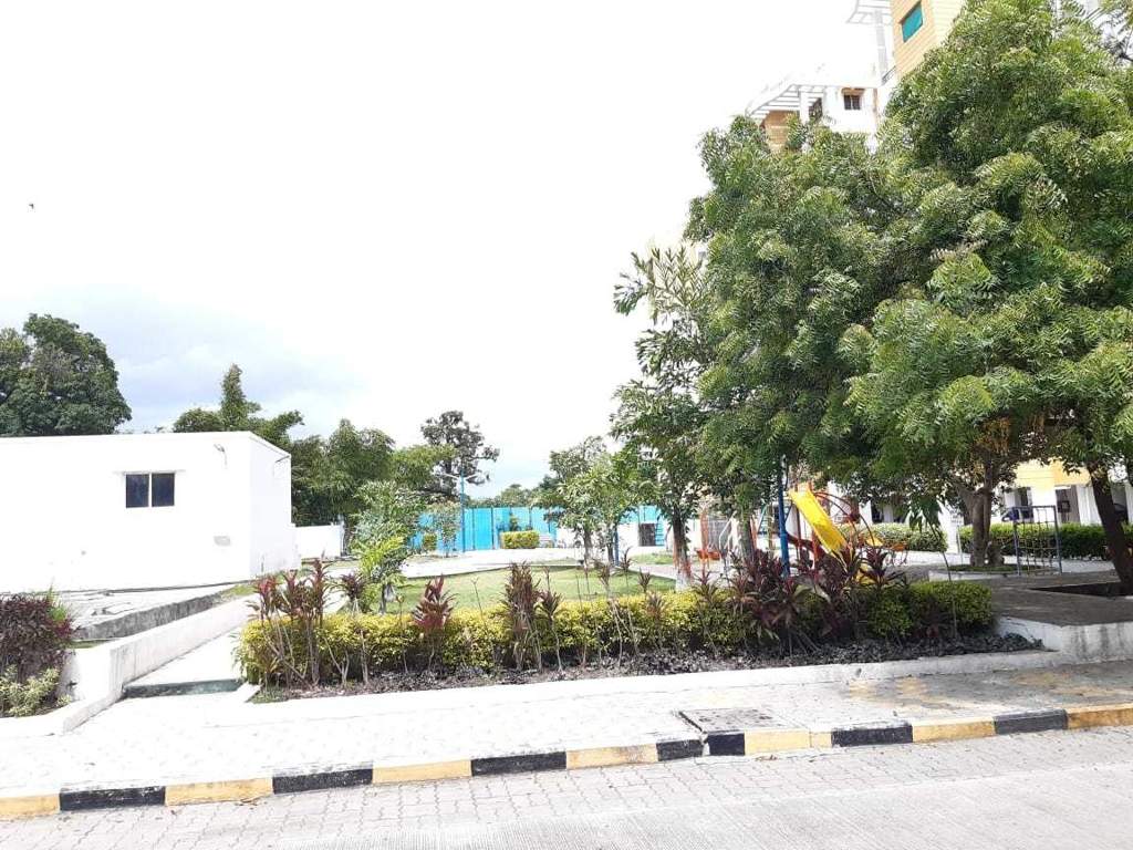  hollyhock city Others