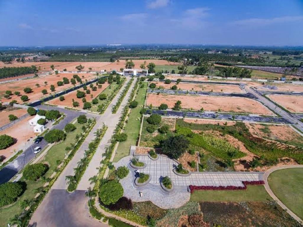  orchid nirvana Elevation