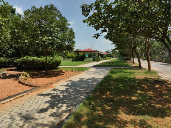 Others sanjivini Others