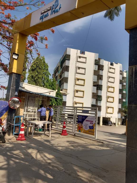  aqua front Elevation