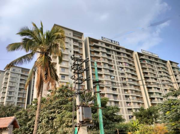  orchid-lakeview Elevation