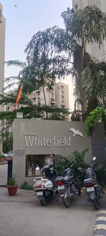  orchid whitefield Elevation