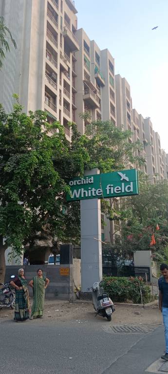  orchid whitefield Elevation