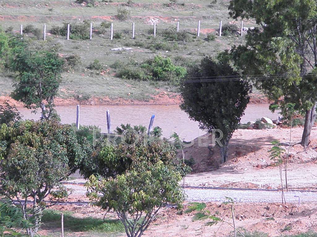 Images for Main Other of Greater Farm Casa