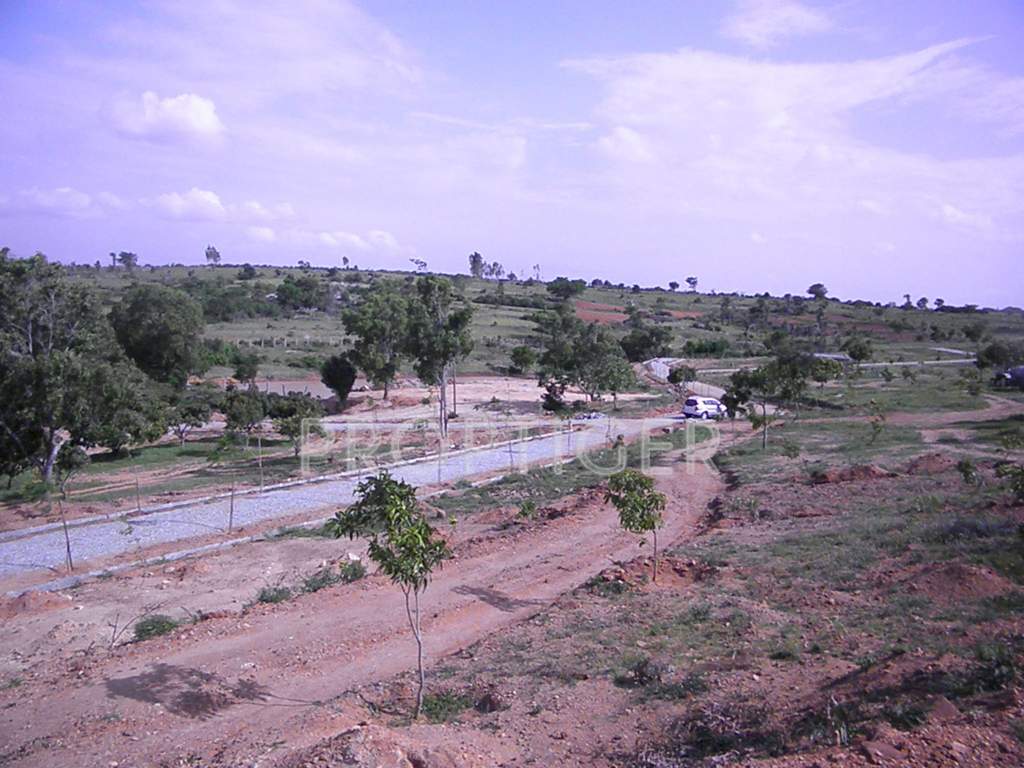 Images for Main Other of Greater Farm Casa