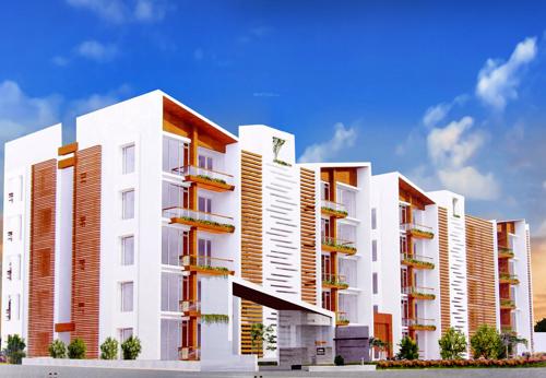 Images for Elevation of Lotus Lotus Roldana roldana Images for Elevation of Lotus Lotus Roldana