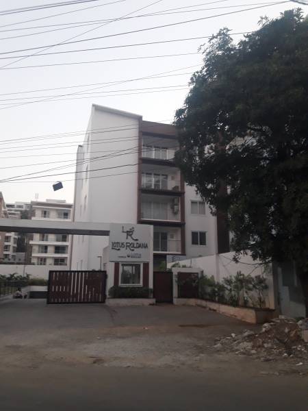 Images for Project roldana Images for Project