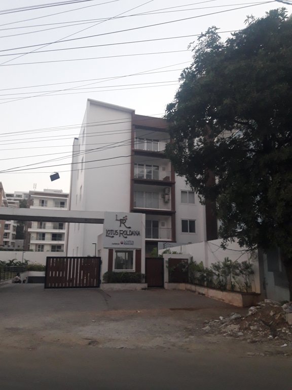  roldana Images for Project