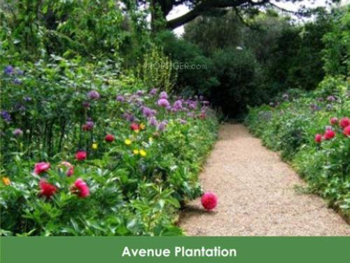 Images for Amenities of Sai Green City