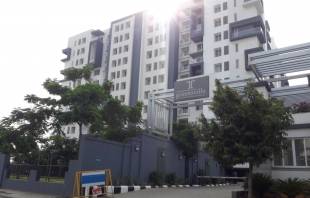  greensville Images for Project