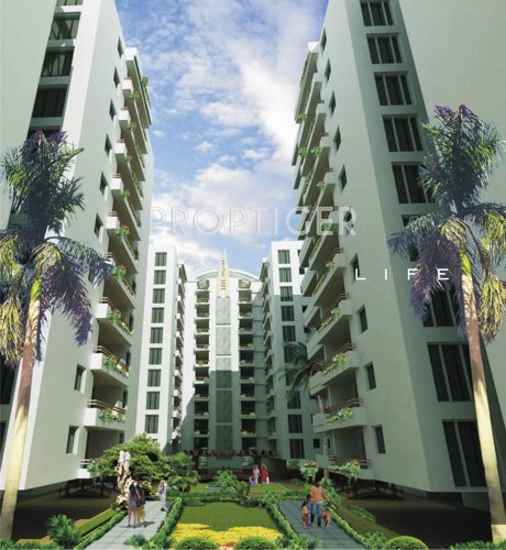 Images for Elevation of ACE Atlantis atlantis Images for Elevation of ACE Atlantis