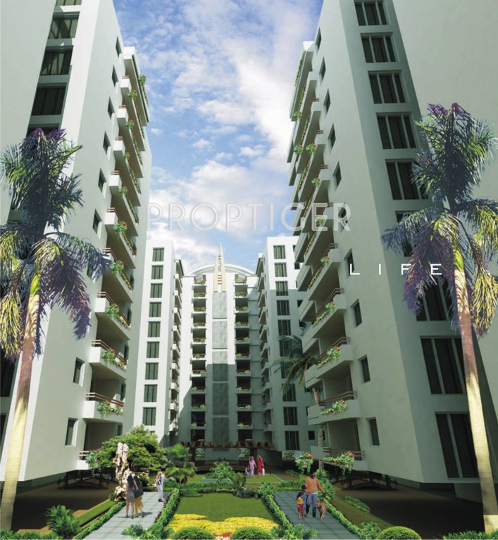 atlantis Images for Elevation of ACE Atlantis