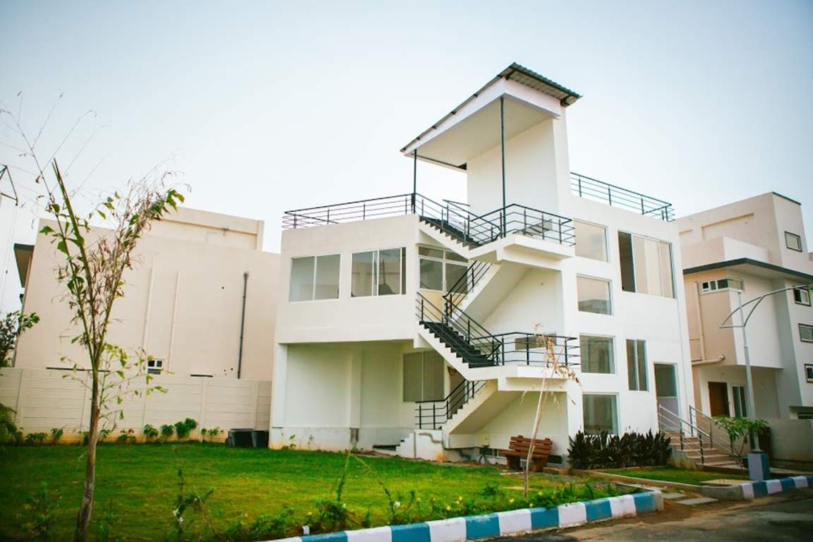  petals Images for Elevation of Pavani Groups Petals