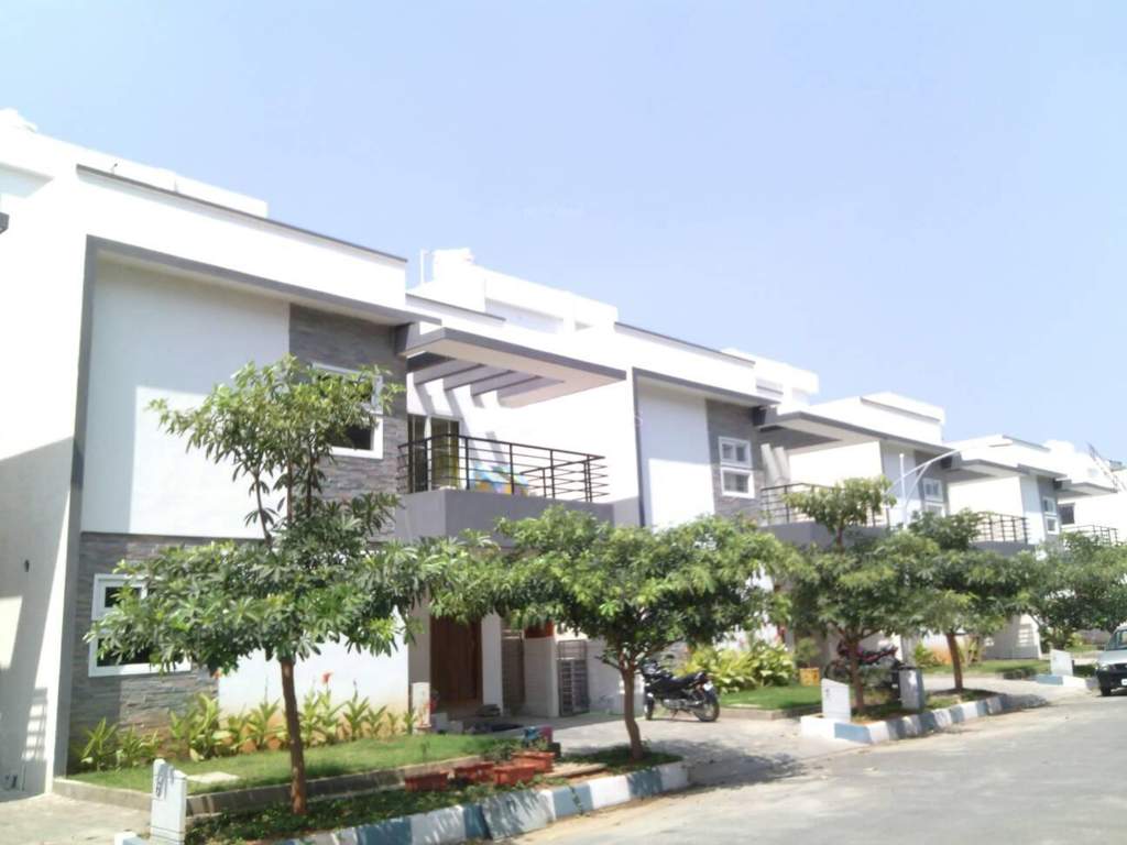  petals Images for Elevation of Pavani Groups Petals