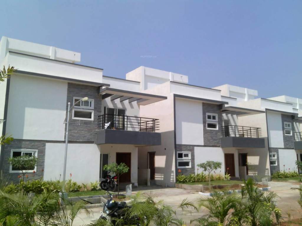  petals Images for Elevation of Pavani Groups Petals