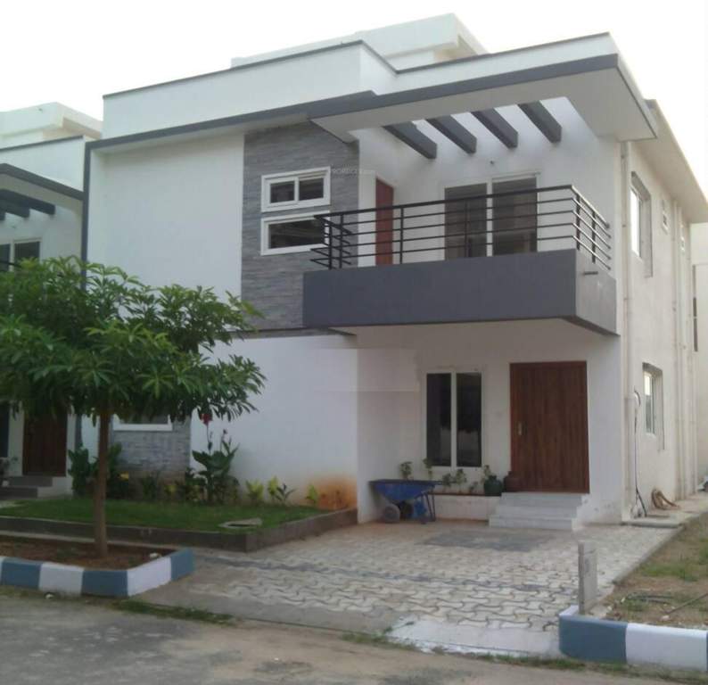  petals Images for Elevation of Pavani Groups Petals