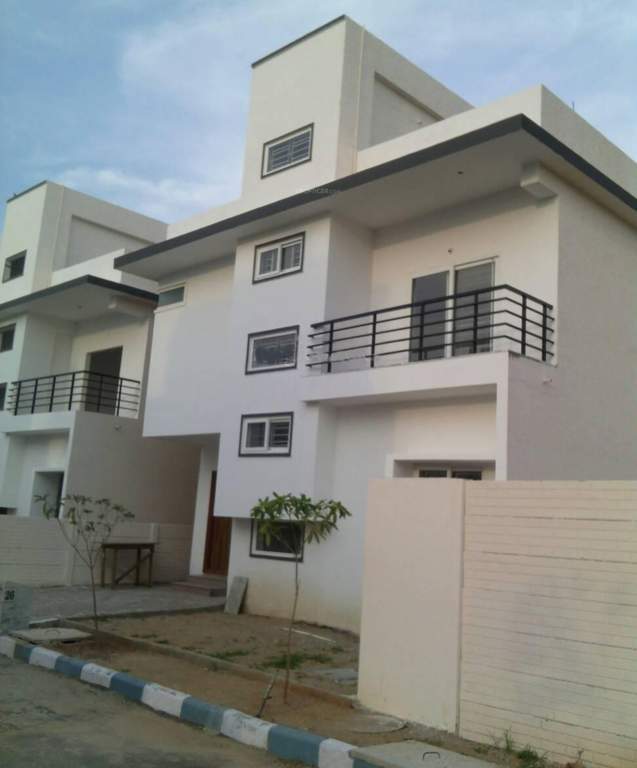  petals Images for Elevation of Pavani Groups Petals