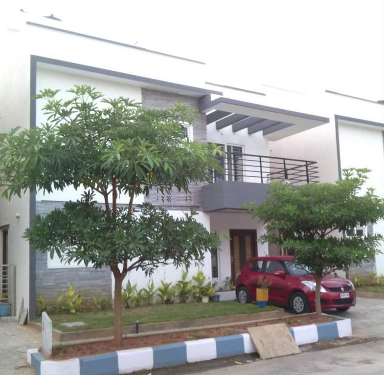  petals Images for Elevation of Pavani Groups Petals