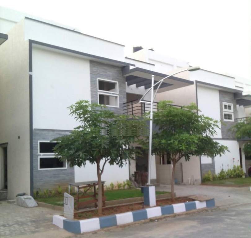  petals Images for Elevation of Pavani Groups Petals