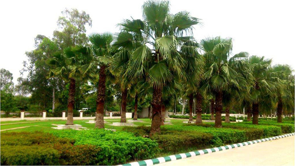 Images for Amenities of Eldeco Personal Floors