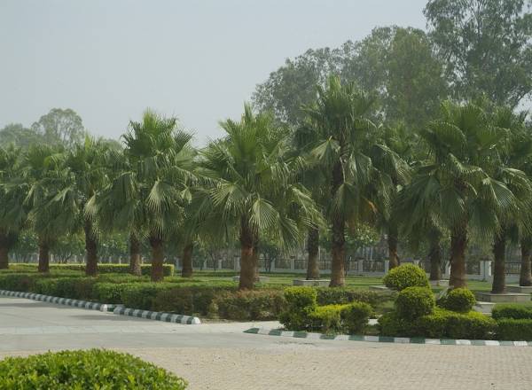 Images for Amenities of Eldeco County Plots