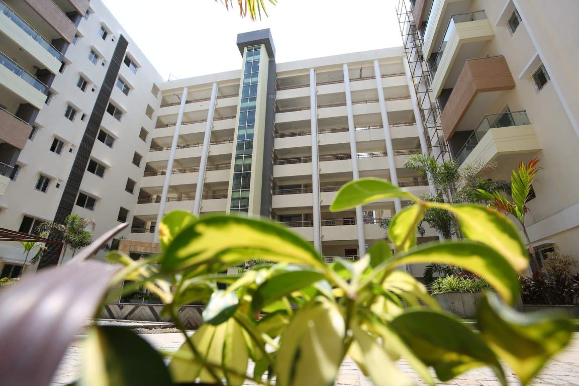  bhaiji panchajanya Images for Elevation of RV Bhaiji Panchajanya