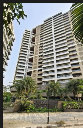  signia pearl Elevation