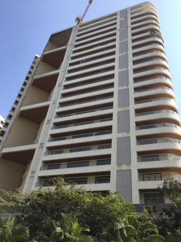  signia-pearl Images for Project