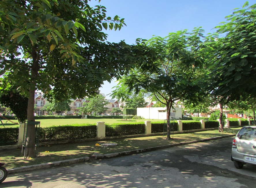 Images for Amenities of Eldeco Savoy