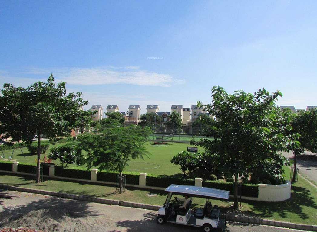 inner circle ii Landscape Garden and Tree Planting